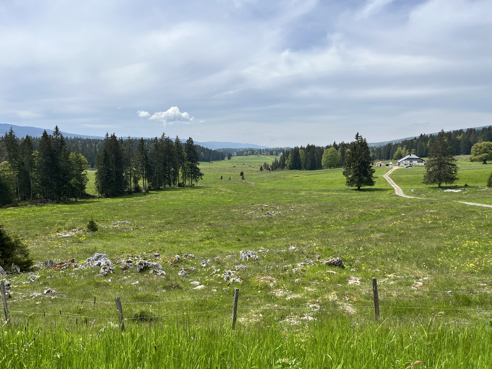 23-05-21 12-13-00 5513